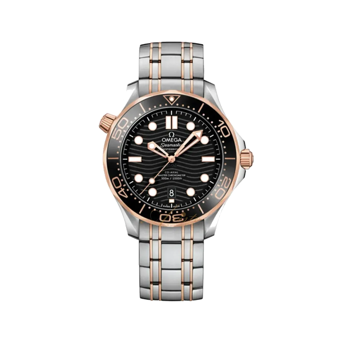 Omega Seamaster, reference 210.20.42.20.01.001