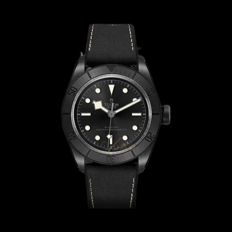 Tudor Black Bay, reference M79210CNU-0001