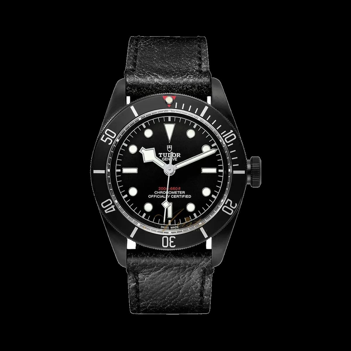 Tudor Black Bay, reference M79230DK-0007