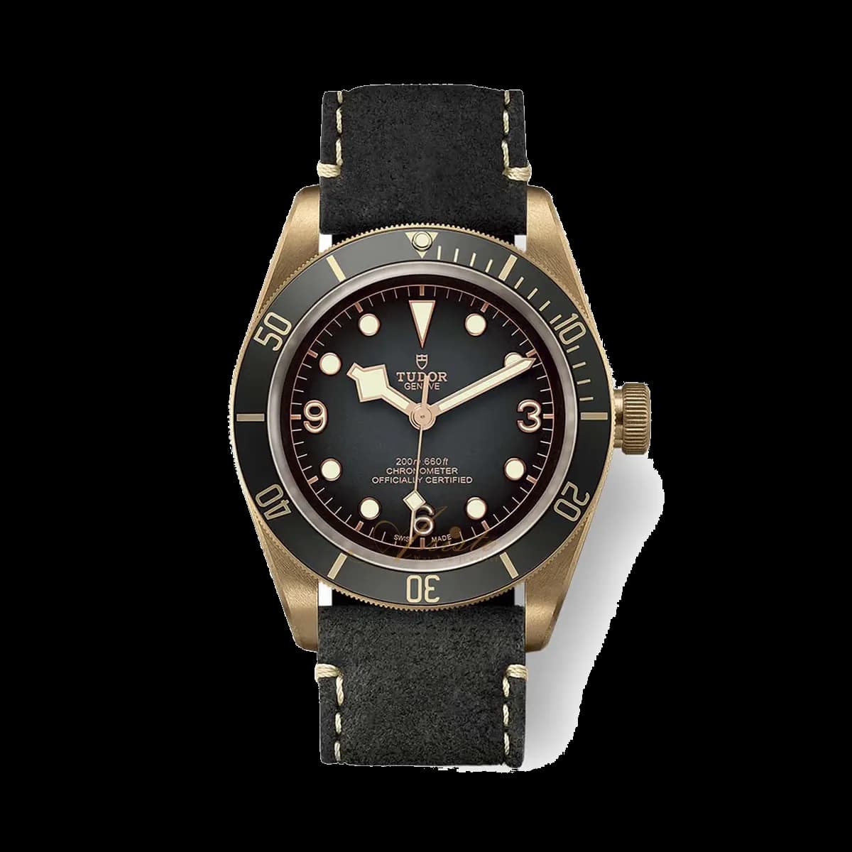 Tudor Black Bay, reference M79250BA-0001