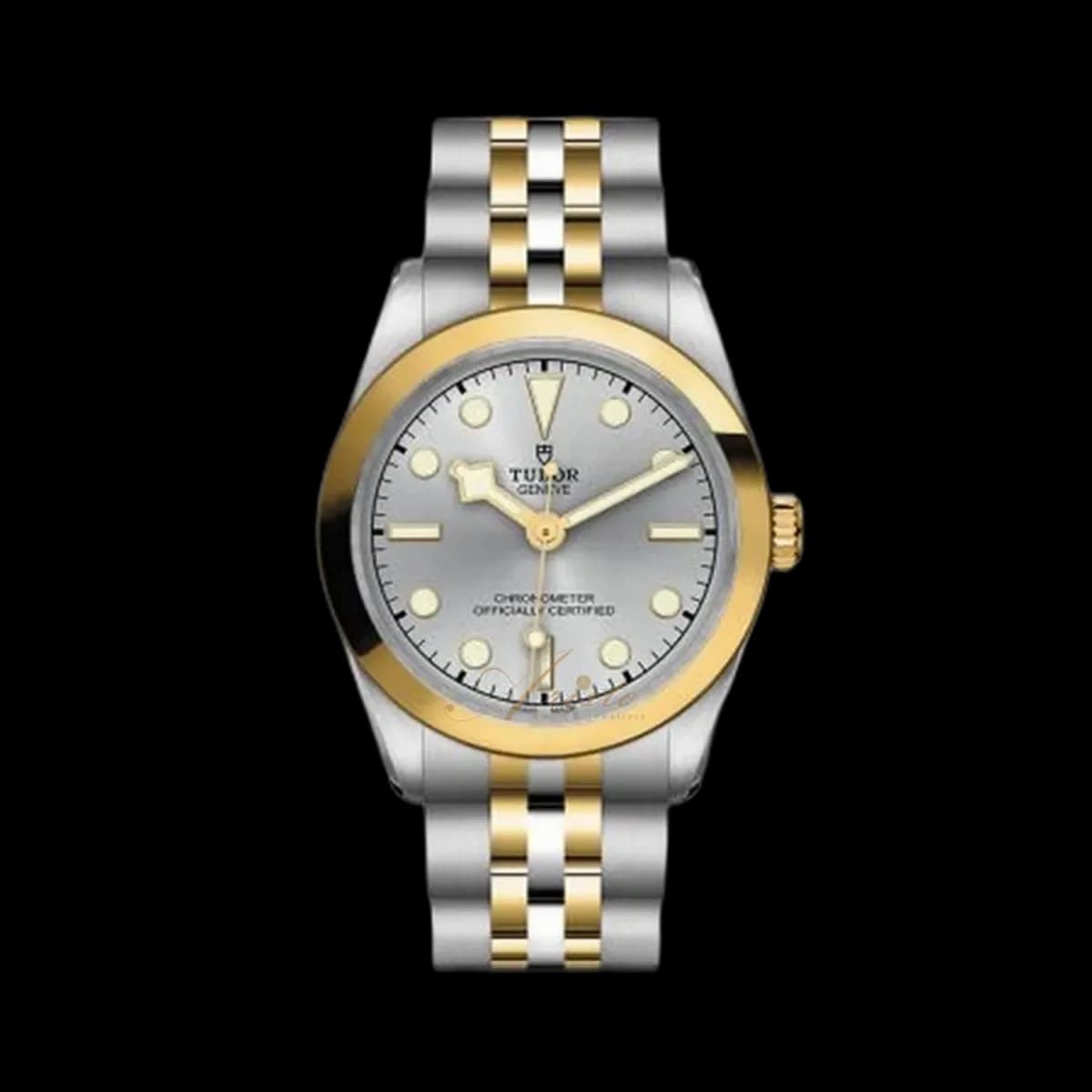 Tudor Black Bay, reference M79603-0002